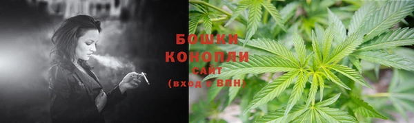 a pvp Аркадак
