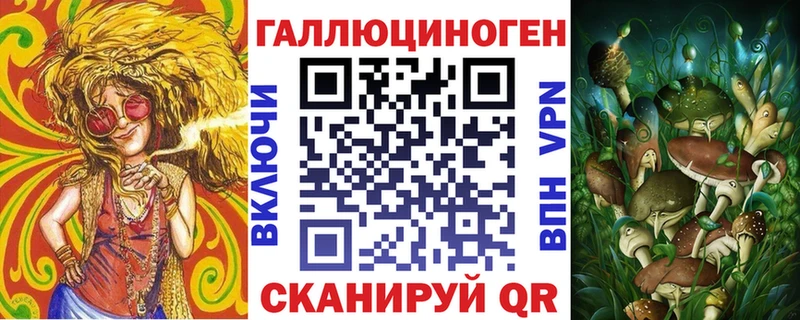 Псилоцибиновые грибы Psilocybine cubensis Ялуторовск